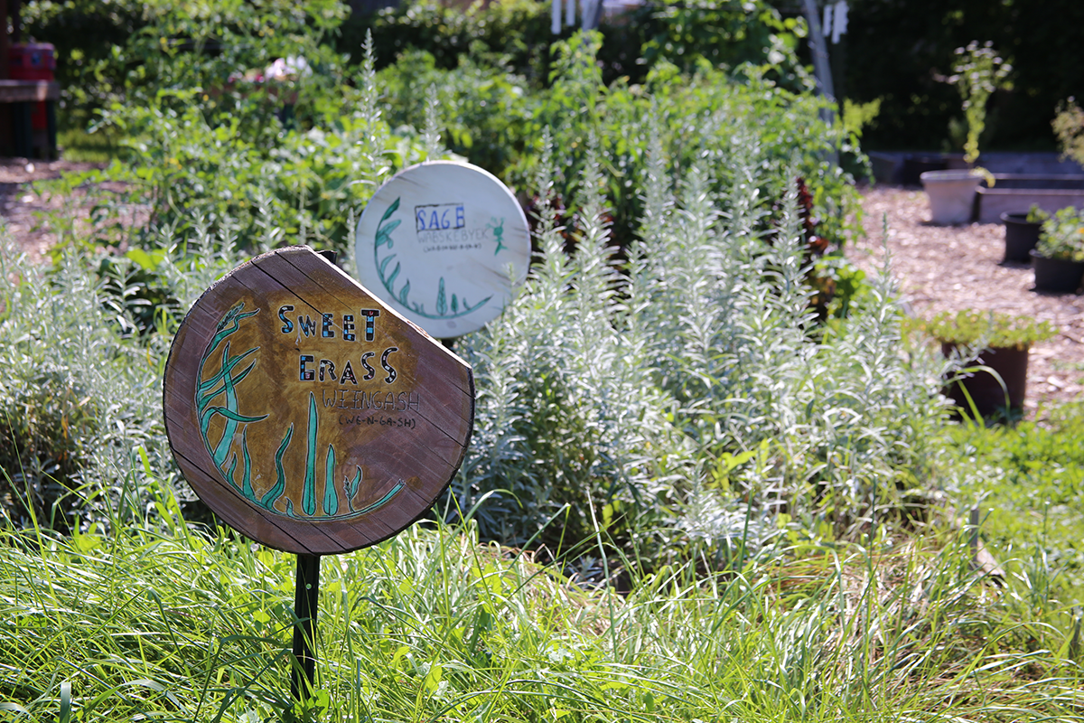 Native Wellness Garden